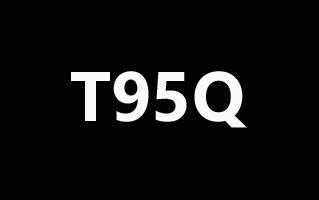T95Q